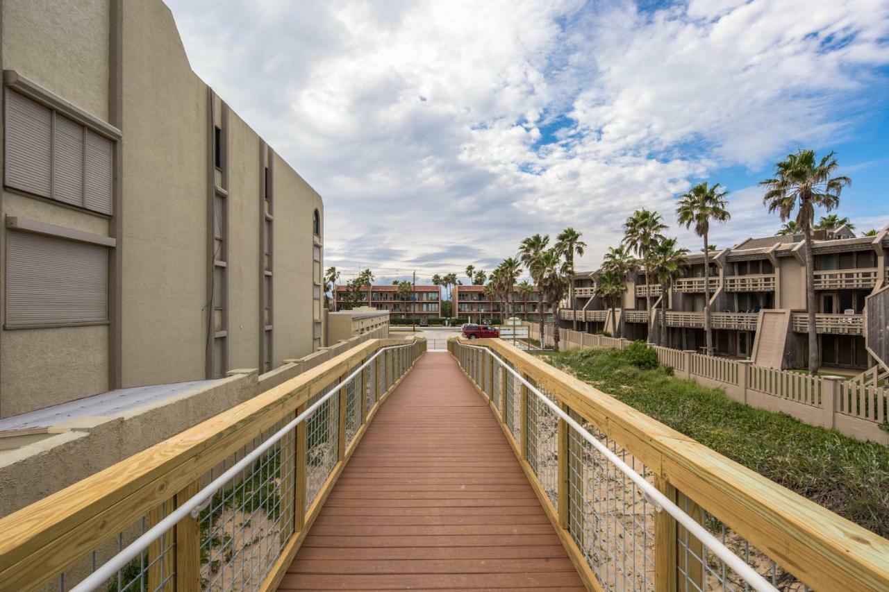 Beachview Condominiums: Palm Tree Pathway South Padre Island Exterior photo